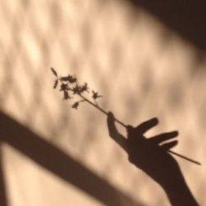 Meet your Posher, Janney